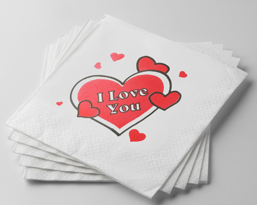 LunchBox-Napkins-(1)
